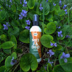 Kota Forest Deodorant 100ml