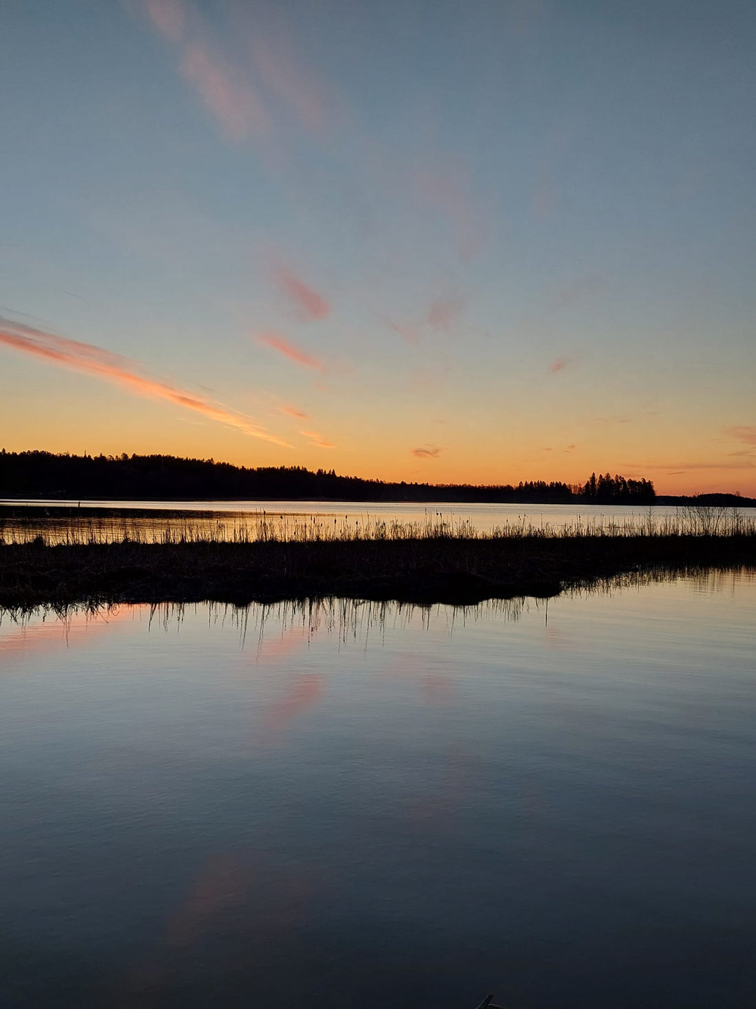 GoGoNano – Ekologinen ja helppo pesuratkaisu arkeen: muovittomat pyykin- ja tiskiliinat luonnon ystäville