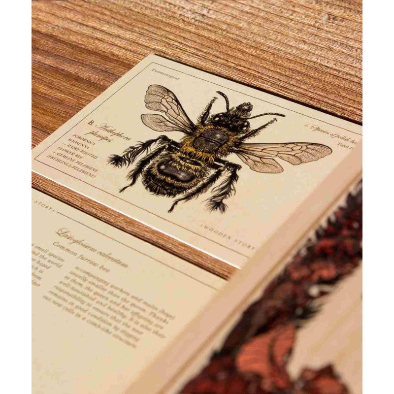 Wooden Blocks Bee Life Species